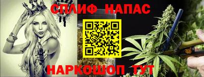сатива Кунгур