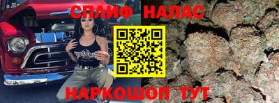 сатива Кунгур