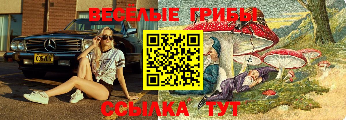 Псилоцибиновые грибы прущие грибы  Вход с VPN  Егорьевск 